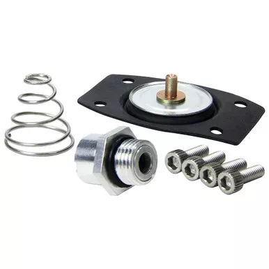 Allstar Performance Rebuild Kit for ALL40290 ALL99430