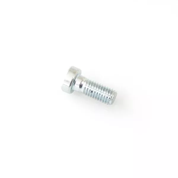 Alpha Racing Allen Head Bolt M8x20, Brake Disc Front