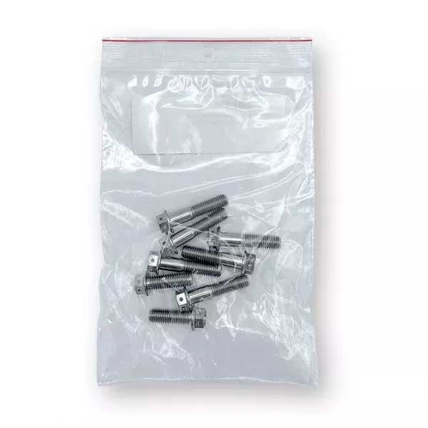 Alpha Racing Titanium Bolt Kit OEM Triple Clamps