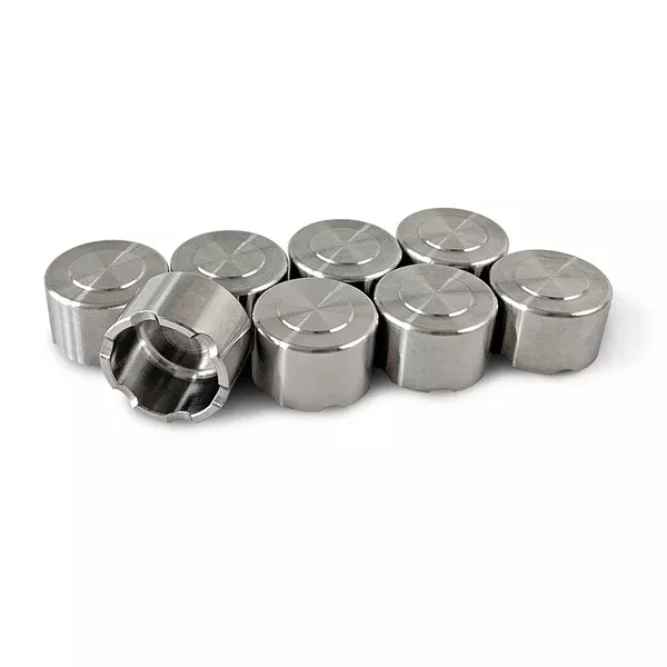 Alpha Racing Titanium Brake Piston Kit, Hayes Calipers