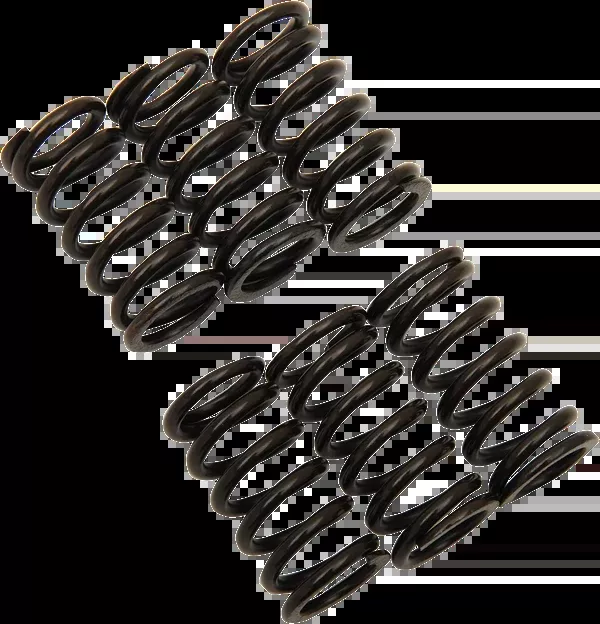 Barnett Clutch Spring Kit - KTM/Suzuki
