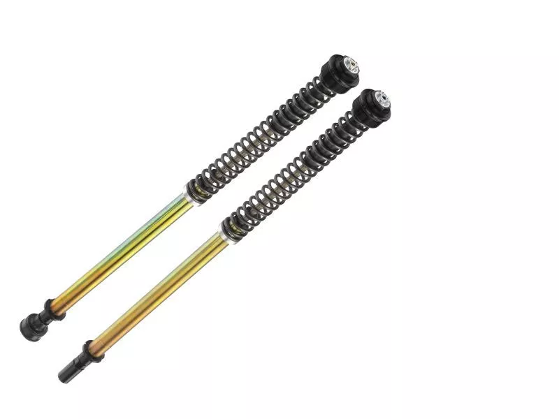 Bitubo JBHV1 Adjustable Pressurized Cartridge Spring Preload Rebound Compression w/o Oil Black Ring HD008JBH02V1WO