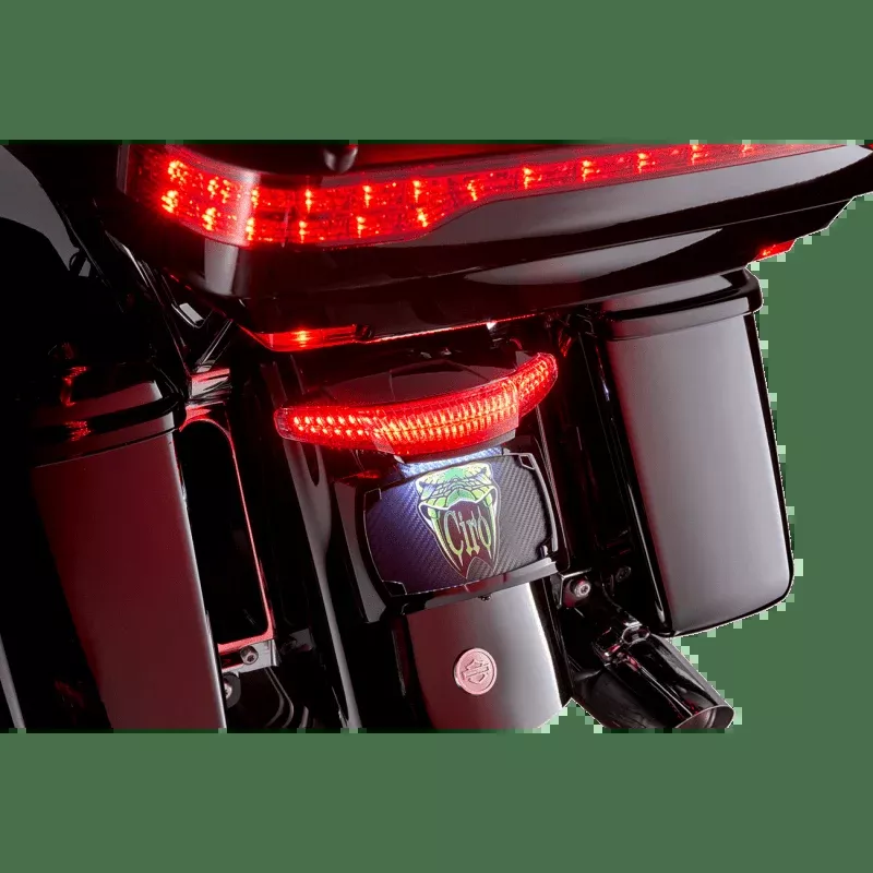 Ciro Tailight/License Plate Mount Smoke Lens