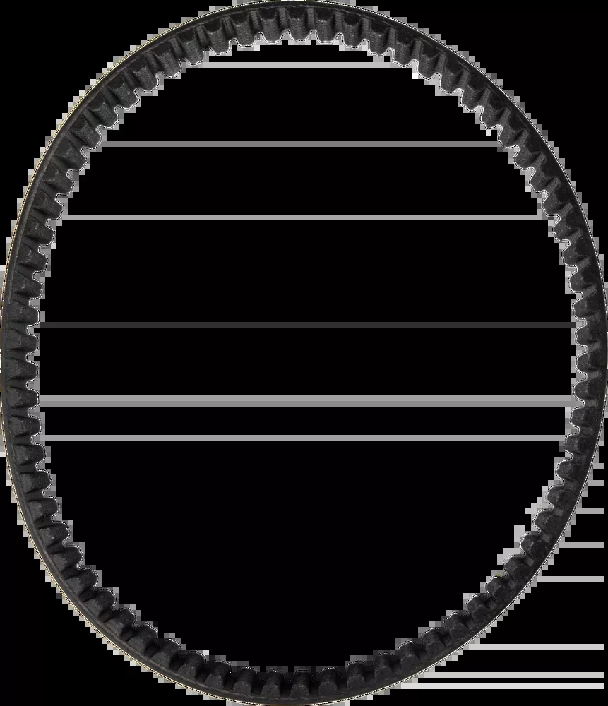 Dayco Drive Belt Surron – 560H8MP16