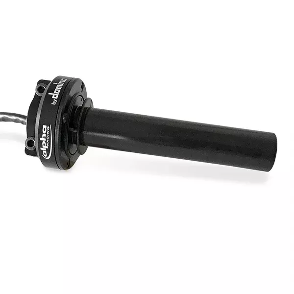 Domino E-Throttle, M RCK