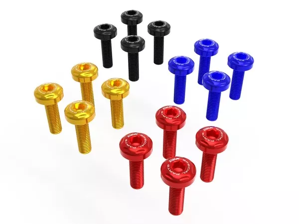 Ducabike DBK BMW R1300GS Windshield Bolt Kit