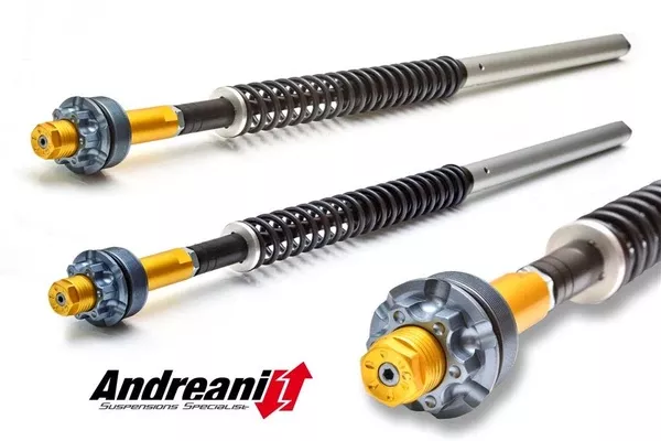 Ducabike DBK CFD105/D12 Hyperstrada Low 821 Adjustable Cartridge Kit