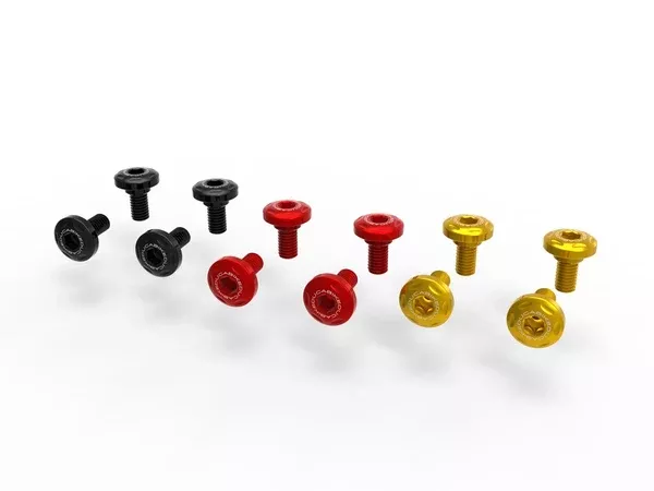 Ducabike DBK KVT32 DesertX Swingarm Screw Kit