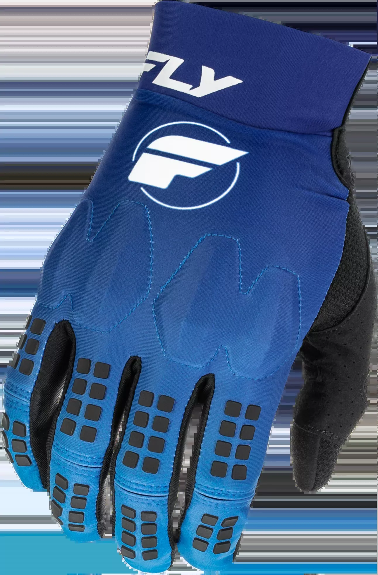 Fly Racing EvolutionDst Gloves Blue/White Md-379-111M