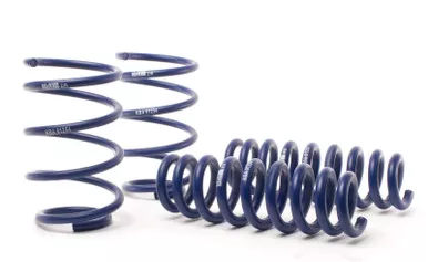 H&R Springs 28790-6 Lowering Springs for BMW 3 Series E90/E92/E93