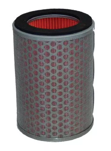 Hiflofiltro HFA1602 Premium OE Replacement Air Filter