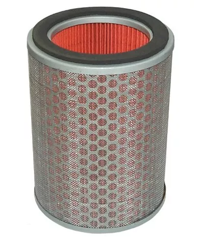 Hiflofiltro HFA1916 Premium OE Replacement Air Filter, Black