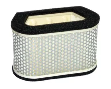 Hiflofiltro HFA4907