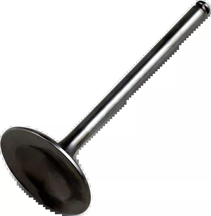 Hot Cams Intake Valve – Titanium – Honda-8400002-2