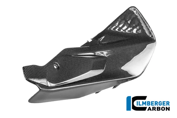 Ilmberger Carbon Chain Guard Ducati Panigale V4 R 2025