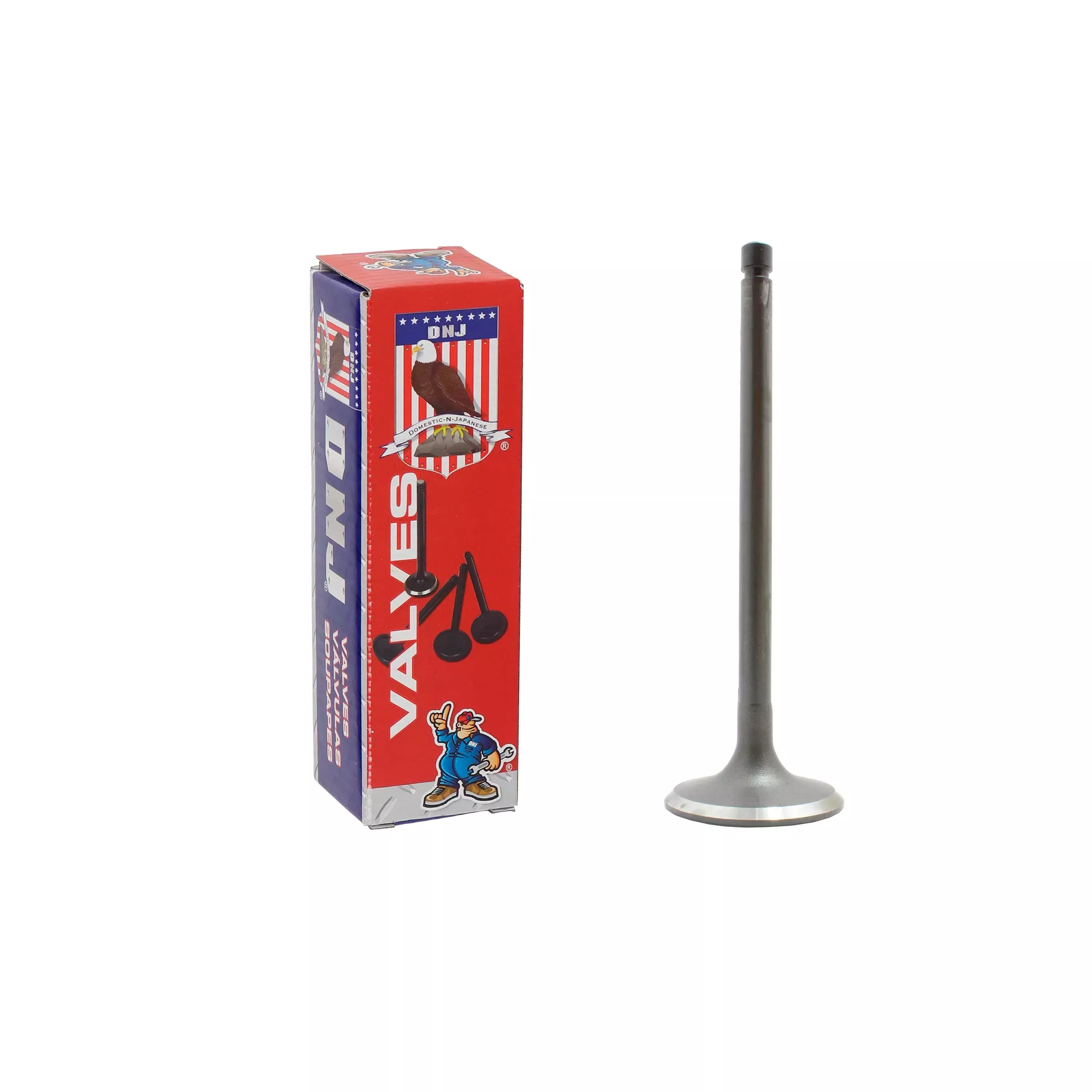 Intake Valve 1982-1983 Nissan 1.5L
