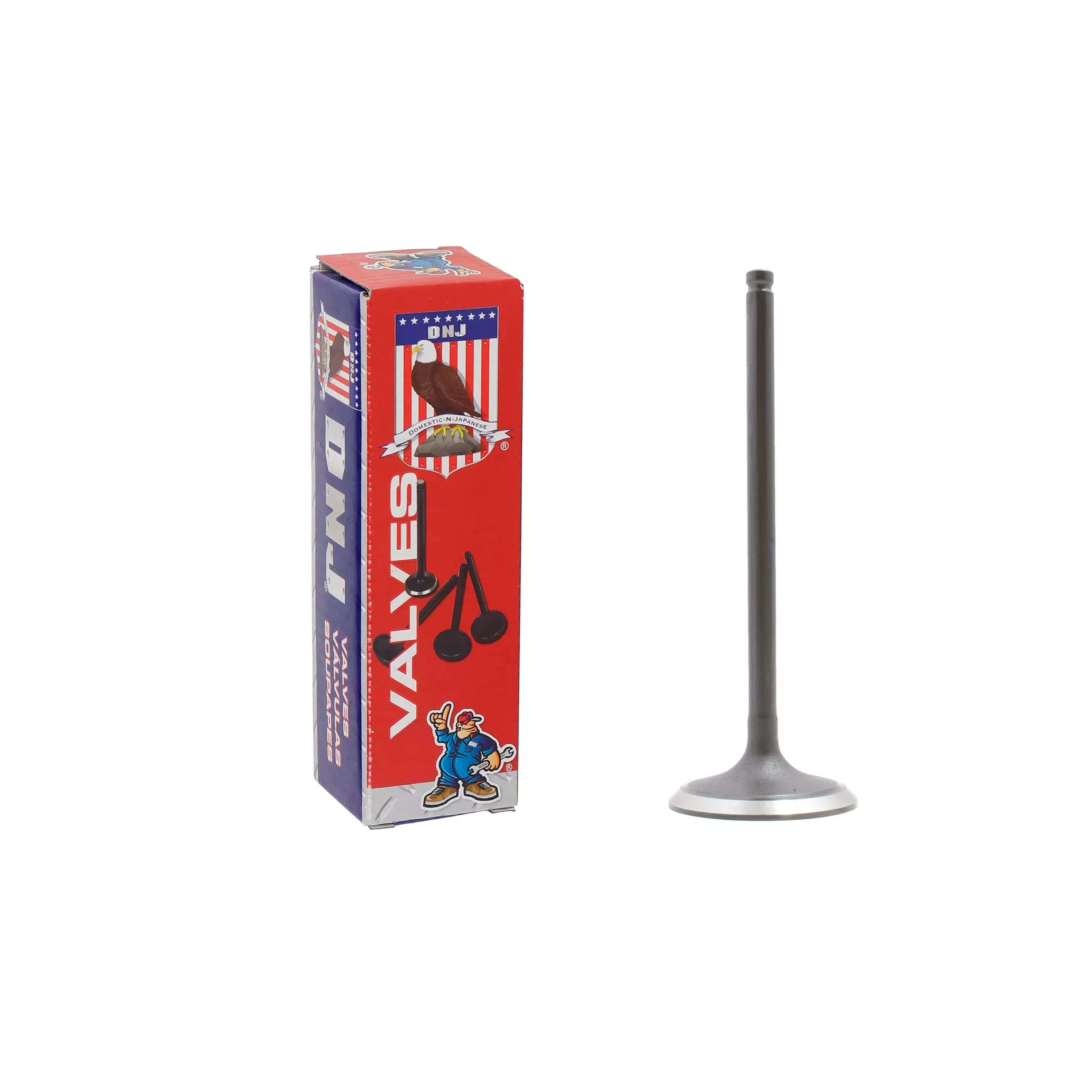 Intake Valve 2009-2013 Suzuki 2.4L