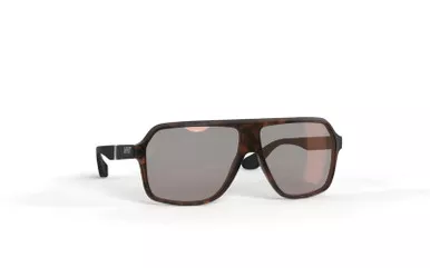 Leatt TheViz Andes Brown Polarized Silver 34 VLT Sunglasses