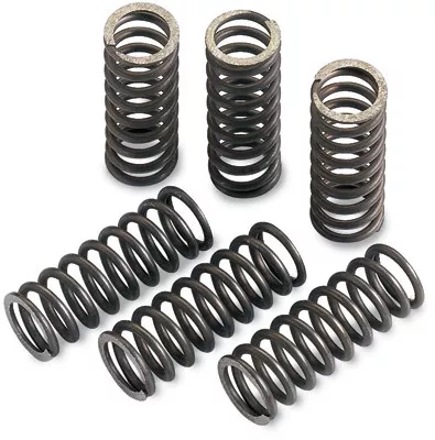 Moose Clutch Spring Set (FHDS90-5)