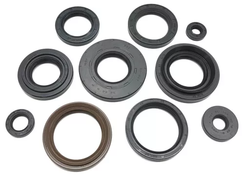 Moose Complete Engine Oil Seal Kit (0935-0381)