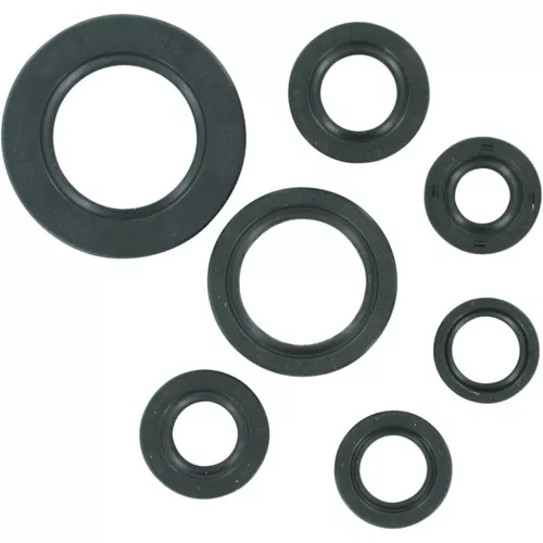 Moose Complete Engine Oil Seal Kit (0935-0466)