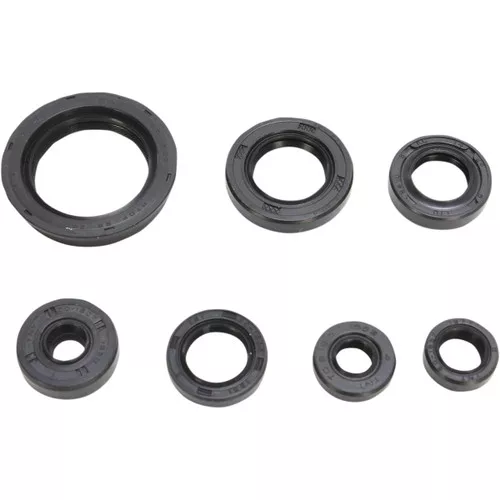 Moose Complete Engine Oil Seal Kit (0935-0839)