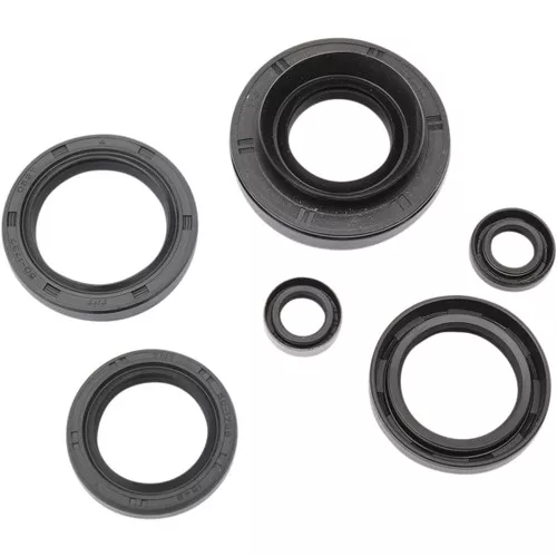 Moose Complete Engine Oil Seal Kit (0935-0851)