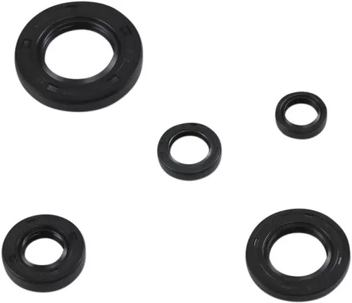 Moose Complete Engine Oil Seal Kit (0935-1016)