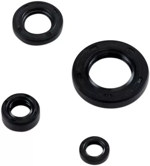 Moose Complete Engine Oil Seal Kit (0935-1018)