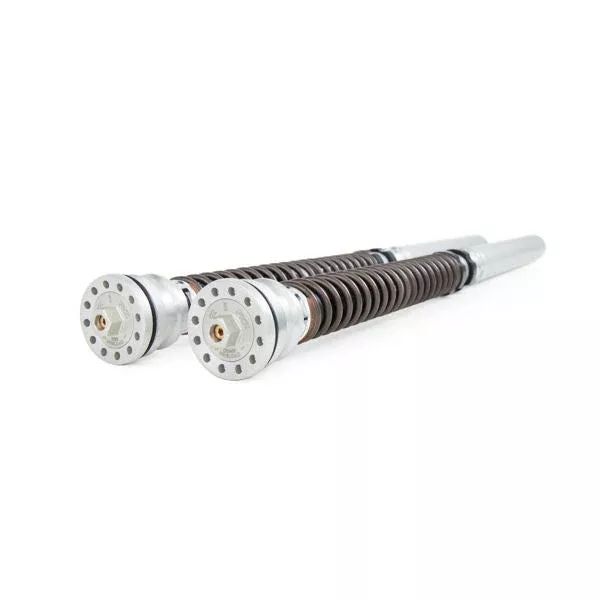 Ohlins FKR 124 Pressurized Front Fork Cartridge Kit For Panigale V4R