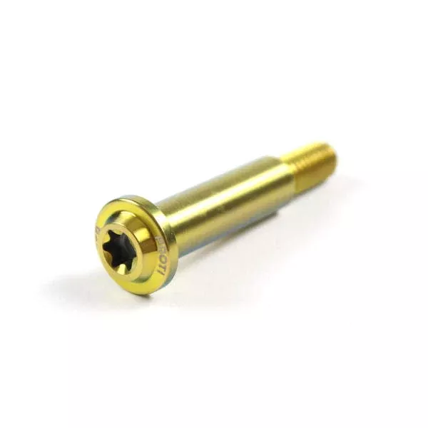 Proti Titanium Pivot Bolt For Brembo RCS 19 – Gold