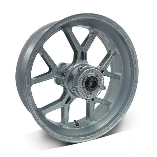 PVM Rear Wheel 5Y Design, M 1000 RR