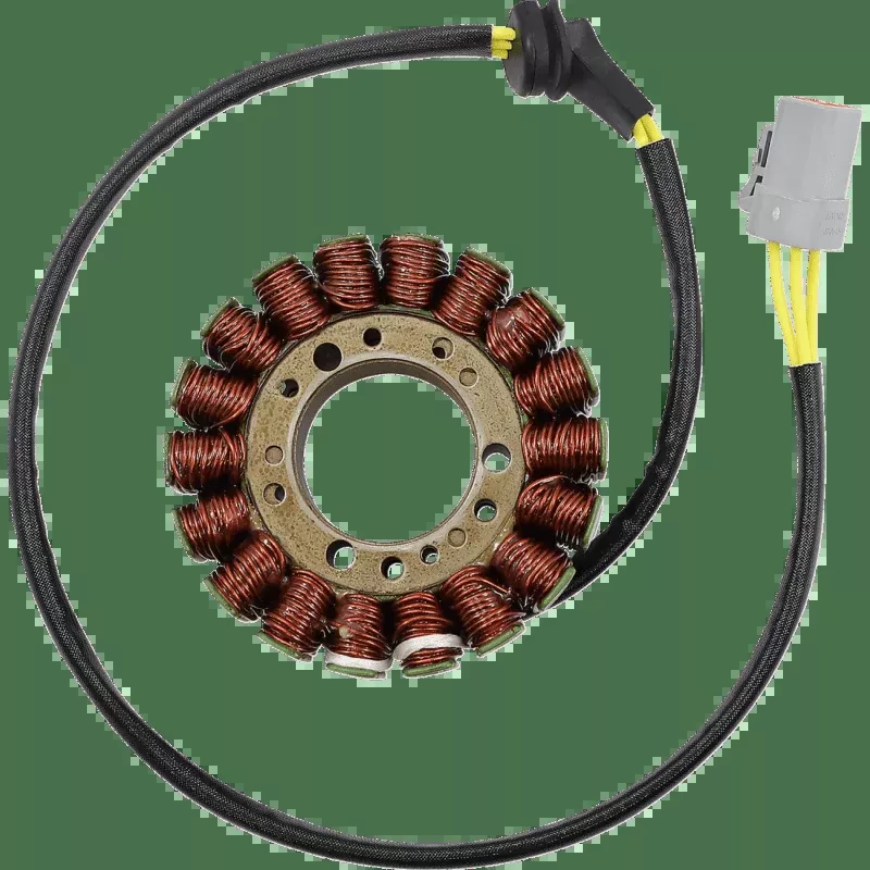 Rick's Motorsport Electric Stator Buell