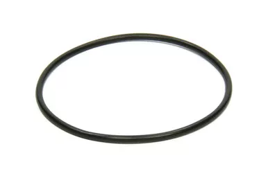 Seal Plate Small Dia O-Ring 2713