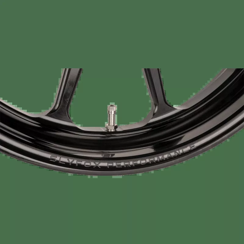 Slyfox Track Pro Front/Dual Disc No ABS 19"X3.00"