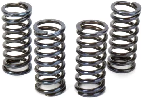 Vesrah Clutch Spring Kit (SK-168)