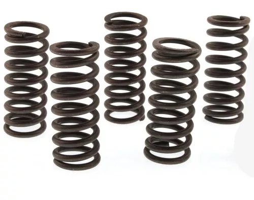 Vesrah Clutch Spring Kit (SK-225)