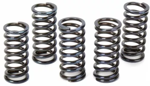 Vesrah Clutch Spring Kit (SK-401)