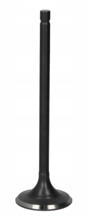 Vesrah Intake Valve (GG-1041-IN)