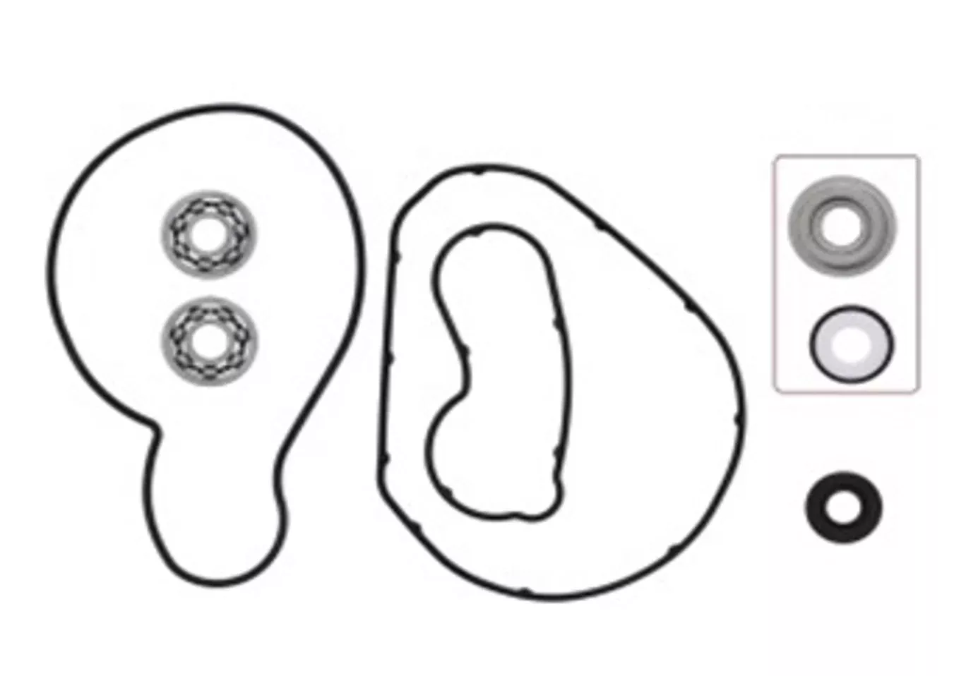 WATER PUMP REPAIR KIT WITH BEARINGS 721317