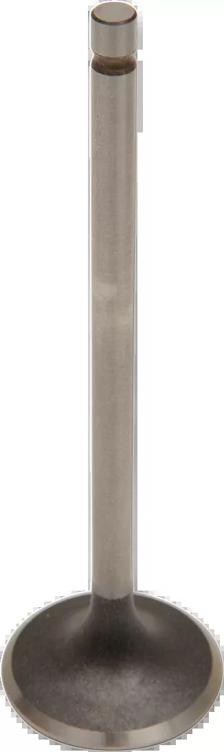 Wiseco Intake Valve-VIS024