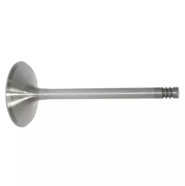 WSM Intake Valve Seadoo Race Series (010-005R)
