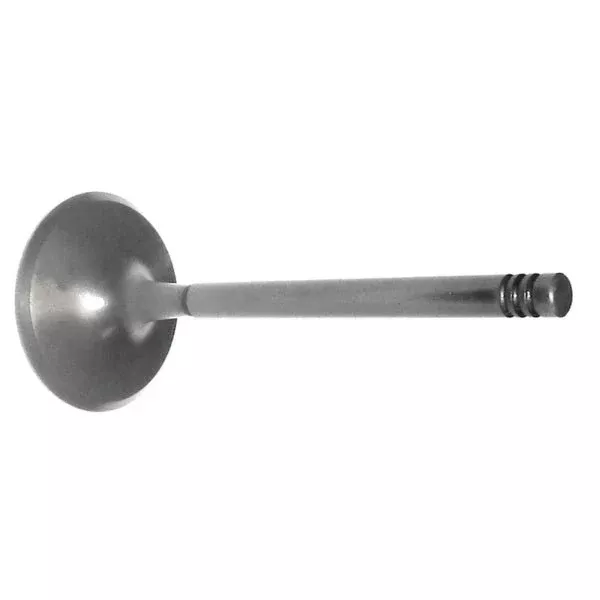 WSM Intake Valve With Nitride Treatment Seadoo (010-005)