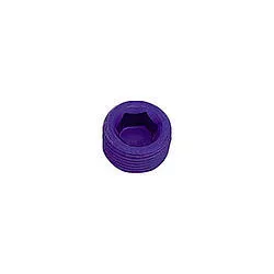 XRP 1in Pipe Plug (Allen) XRP993207