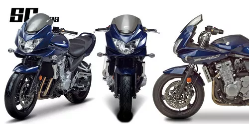 Zero Gravity SR Series Dark Smoke Windscreen (20-134-19)